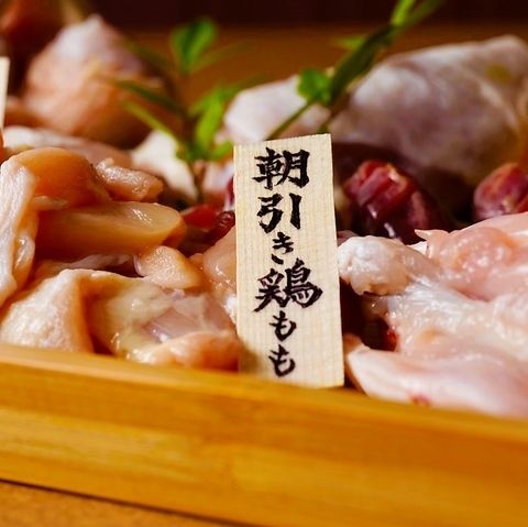 A very satisfying course where you can enjoy a variety of grilled Tajima chicken dishes slaughtered that morning!