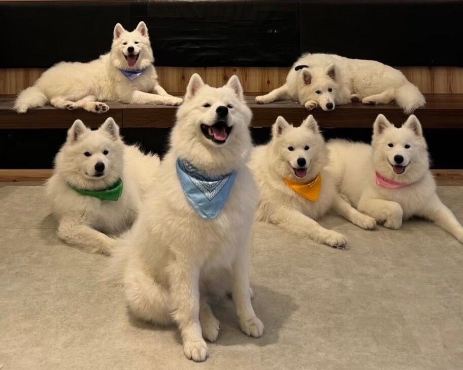 ≪平日≫通常チケット（50分）