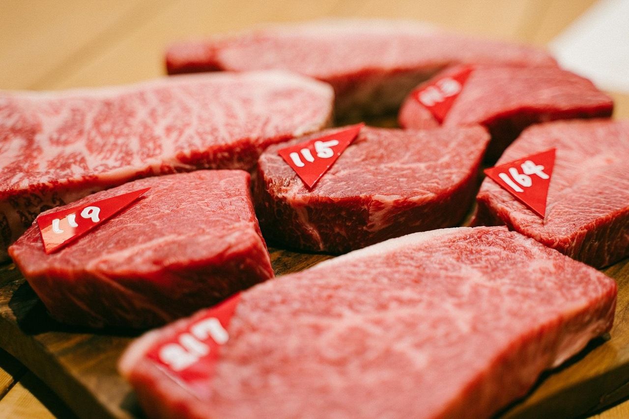 Kiyoki's recommended course