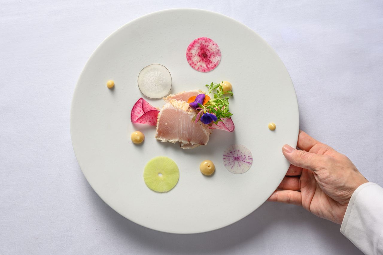 [Dinner] Seasonal (Casual Course)