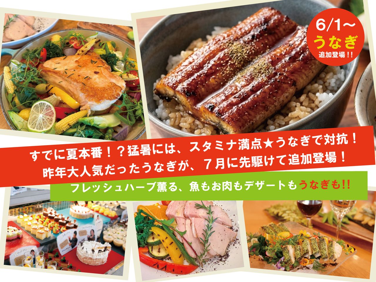 6/1~【時間無制限！】うなぎが追加登場★フレッシュハーブ薫る　魚もお肉もデザートも！アルコール飲み放題【平日】　