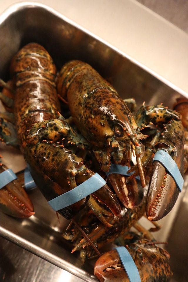 Menu spécial à base de homard [Prix limité pour juin et juillet] *Réservations obligatoires avant midi deux jours à l'avance.