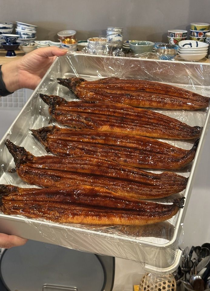 鹿児島県×特大うなぎ御膳