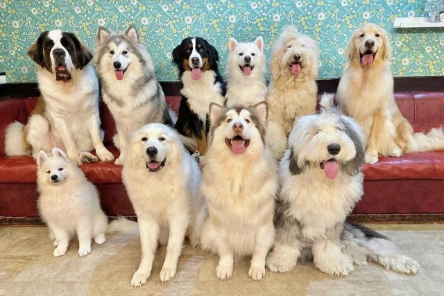 bc8ed59c.jpg?1747722703